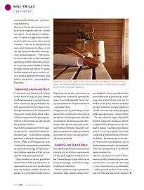 Hebe gazetka Strona 146