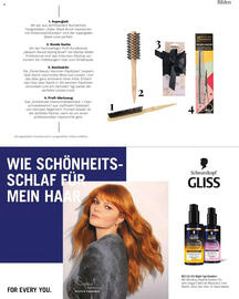 Müller Flugblatt Seite 33