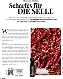 Müller Flugblatt Seite 66
