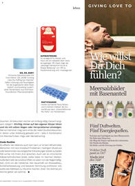 Müller Flugblatt Seite 85