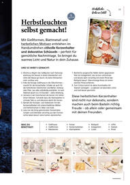 Pagro Diskont Flugblatt Seite 15