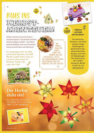 Pagro Diskont Flugblatt Seite 16