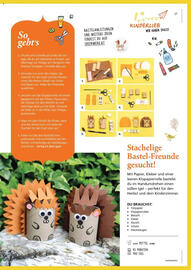 Pagro Diskont Flugblatt Seite 17
