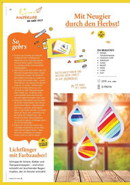 Pagro Diskont Flugblatt Seite 18