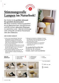 Pagro Diskont Flugblatt Seite 20
