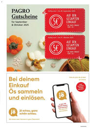 Pagro Diskont Flugblatt Seite 25