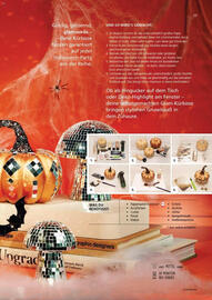 Pagro Diskont Flugblatt Seite 29