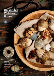 Pagro Diskont Flugblatt Seite 6