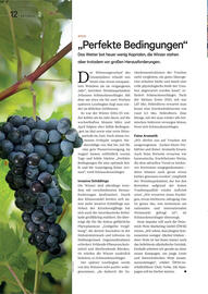 Lagerhaus Flugblatt Seite 12