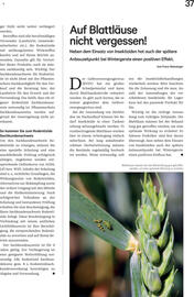 Lagerhaus Flugblatt Seite 37