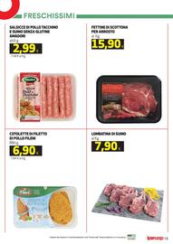 Volantino Coop Master Alleanza 3.0 | ipercoop Pagina 13