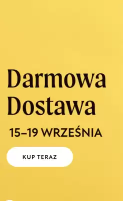 Olini gazetka (ważność do 19-09)