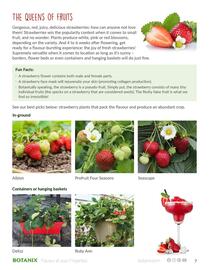 Botanix flyer week 38 Page 7