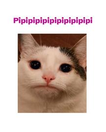 Catálogo Tambo Página 2