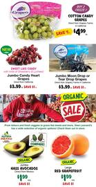 Stew Leonard's flyer week 38 Page 9