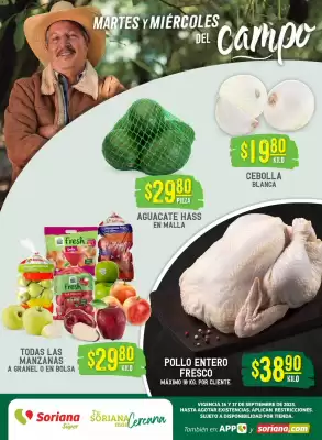 Catálogo Soriana Súper (válido hasta 17-09)