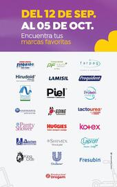 Catálogo Droguerías Colsubsidio Página 31