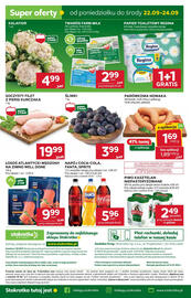 Stokrotka Market gazetka tydzień 38 Strona 29