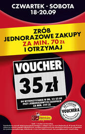 Biedronka gazetka tydzień 38 Strona 15
