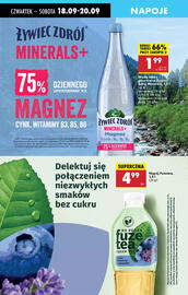 Biedronka gazetka tydzień 38 Strona 55