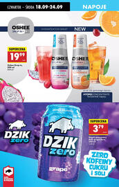 Biedronka gazetka tydzień 38 Strona 58