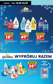 Biedronka gazetka tydzień 38 Strona 71