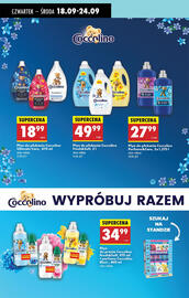 Biedronka gazetka tydzień 38 Strona 73