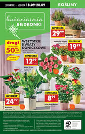 Biedronka gazetka tydzień 38 Strona 77