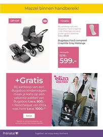 Prenatal folder Pagina 6