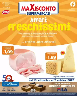 Volantino Maxisconto (valido fino al 1-10)