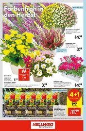 Hellweg Prospekt woche 38 Seite 24