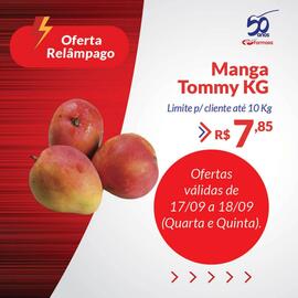 Catálogo Grupo Formosa Página 3