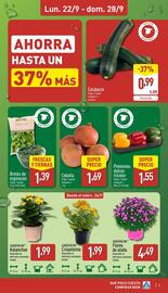 Folleto ALDI semana 39 Página 3
