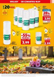 Kaufland gazetka tydzień 38 Strona 13