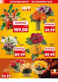 Kaufland gazetka tydzień 38 Strona 18