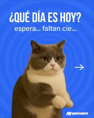 Catálogo Novicompu (válido hasta 19-09)