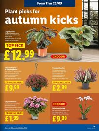 Lidl leaflet week 39 Page 23