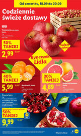Lidl gazetka Strona 19