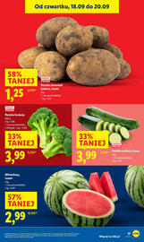 Lidl gazetka Strona 21