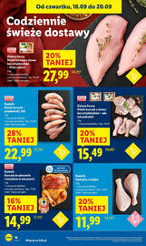 Lidl gazetka Strona 22