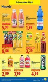 Lidl gazetka Strona 33