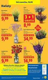 Lidl gazetka Strona 55