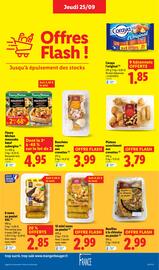 Catalogue Lidl semaine 39 page 13