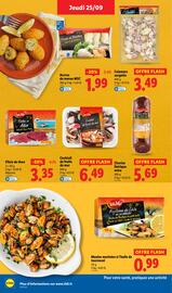 Catalogue Lidl semaine 39 page 22