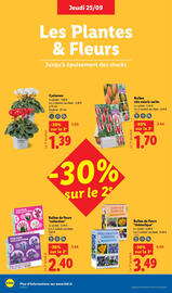 Catalogue Lidl semaine 39 page 26