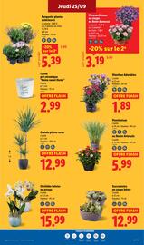 Catalogue Lidl semaine 39 page 27