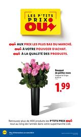 Catalogue Lidl semaine 39 page 70