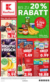 Kaufland Prospekt woche 38 Seite 1
