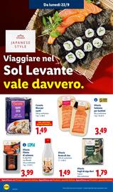 Volantino Lidl settimana 39 Pagina 22