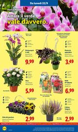 Volantino Lidl settimana 39 Pagina 42